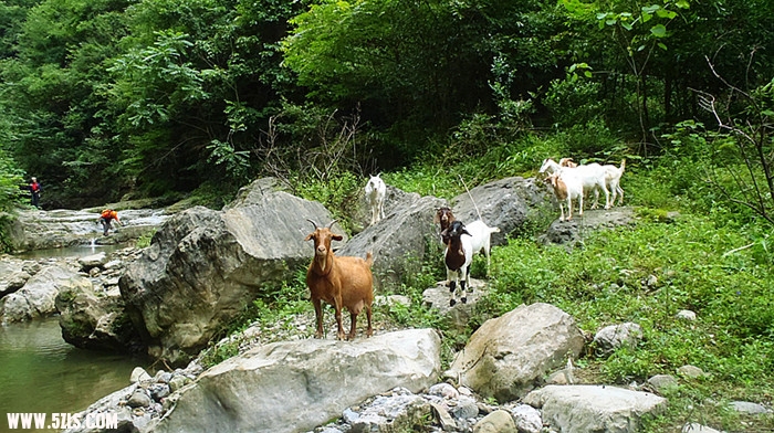 p7020658_.jpg