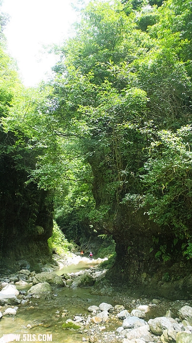 p7020665_.jpg