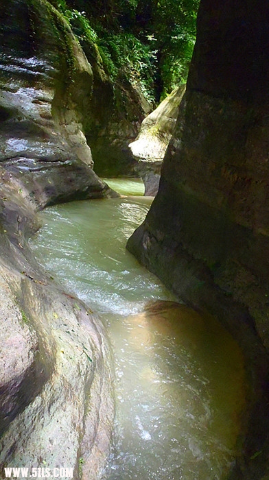 p7020690_.jpg