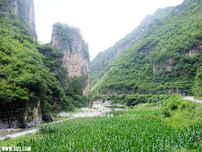 DSCF3231.JPG