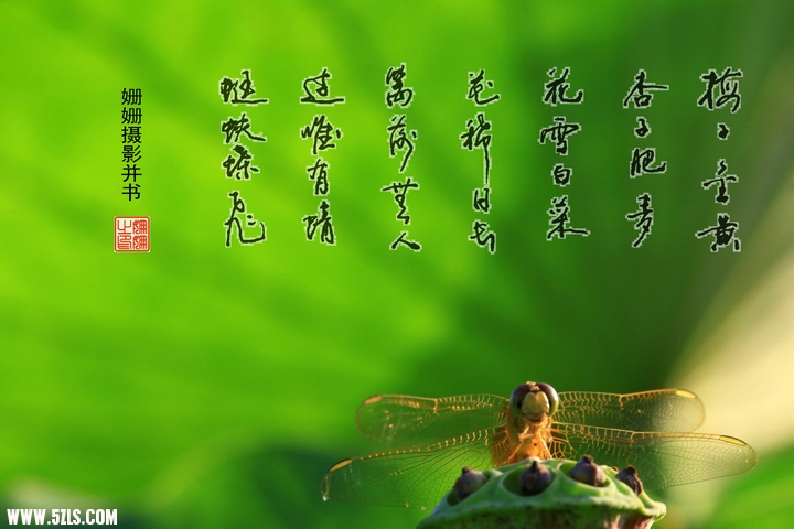 鷨Ӱ.jpg