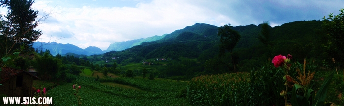 P7020206-1.jpg