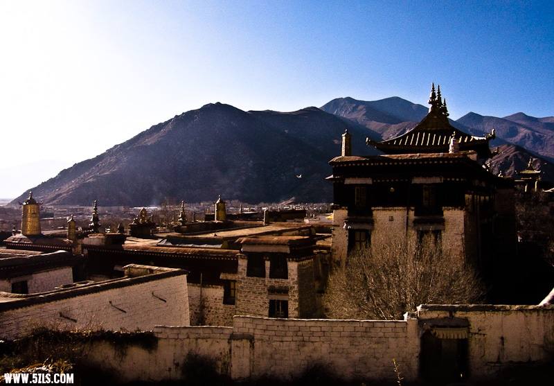 P1000732-2.jpg