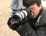 12.gif