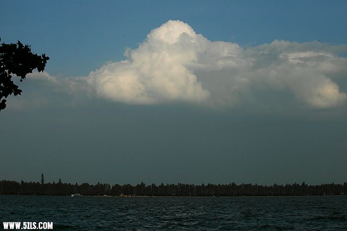 IMG_7989.JPG