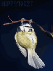 19.gif
