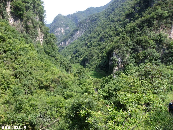 DSCF3447.JPG