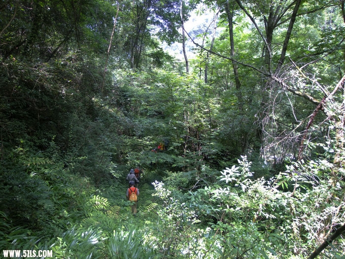 DSCF3499.JPG