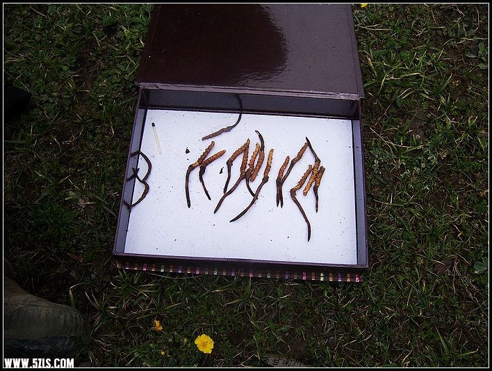 100_7910.jpg