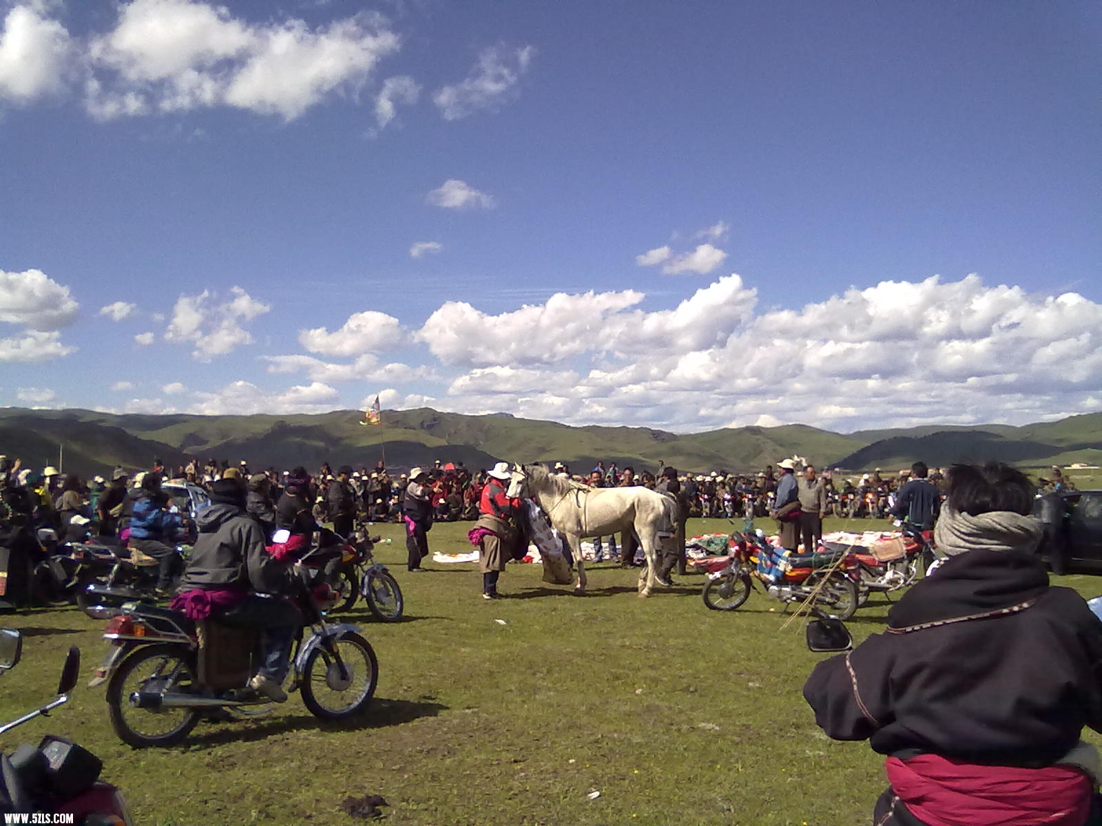20110627456.jpg
