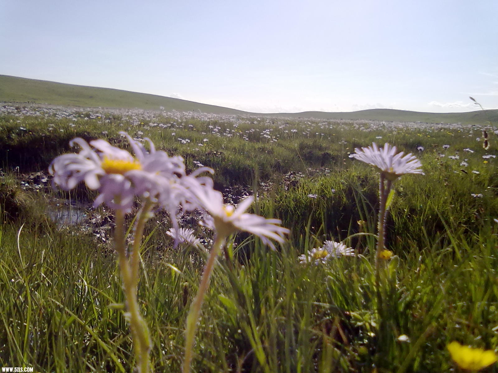 20110627459.jpg