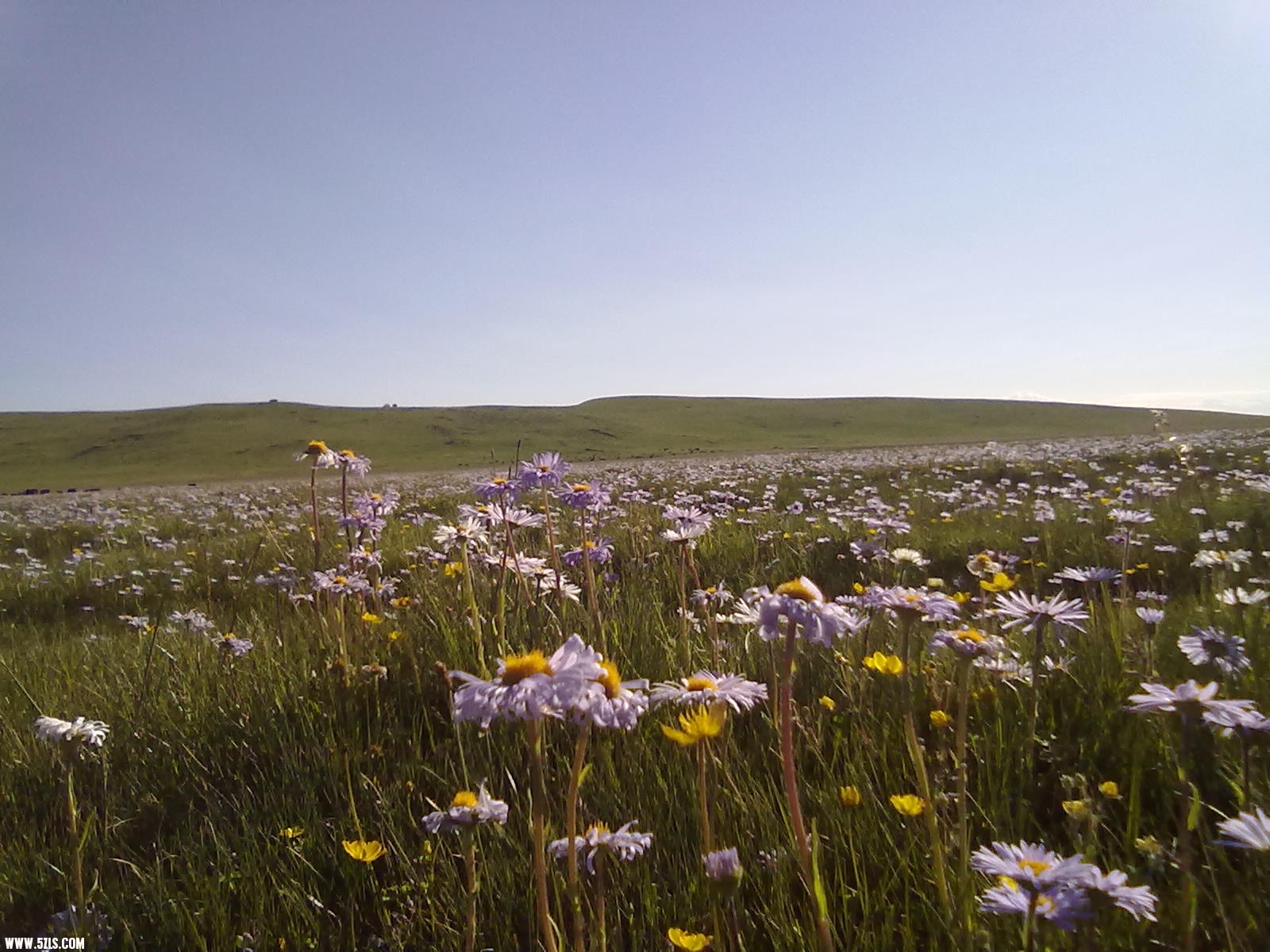 20110627460.jpg