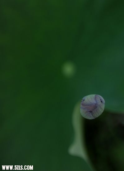 ĺɻ 053.jpg