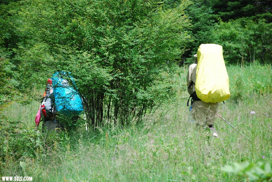 DSC_0482.JPG
