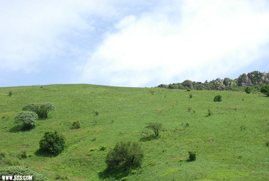 DSC_0548.JPG