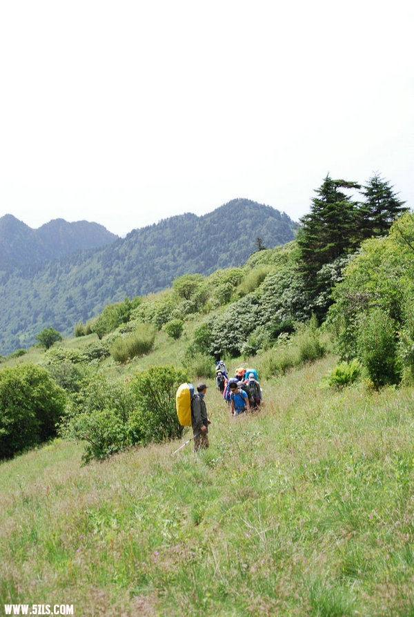 DSC_0555.JPG