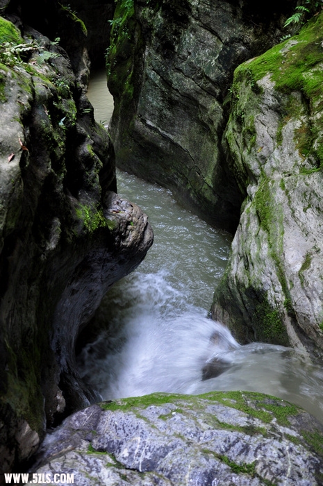 DSC_1489.jpg