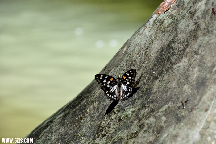 DSC_1553.jpg