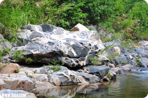 conew_dsc_1668.jpg