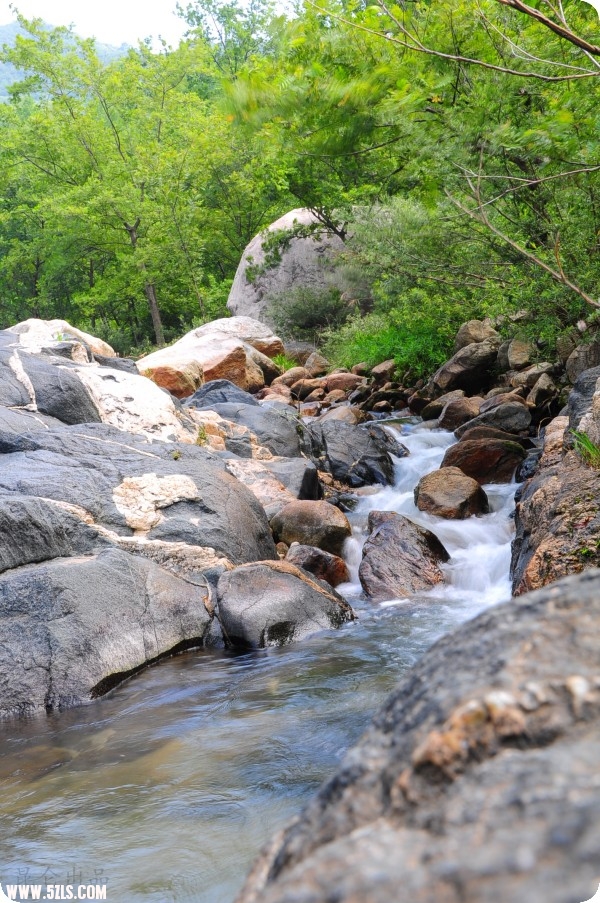 conew_dsc_1709.jpg