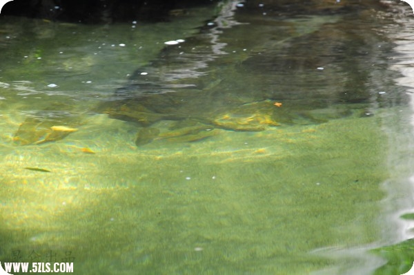 conew_dsc_1748.jpg