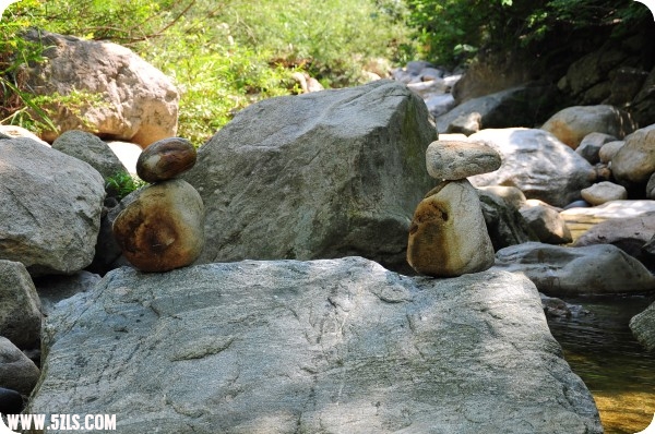 conew_dsc_1766.jpg