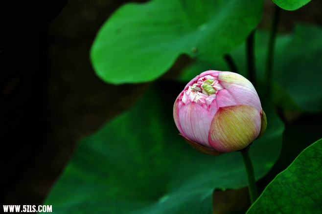 DSC_8473.jpg