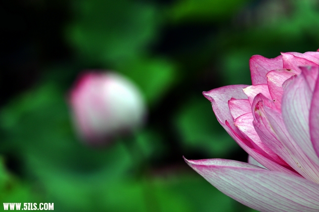 DSC_8542.jpg