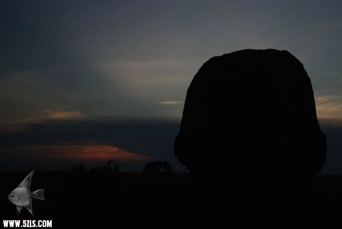 02211908.jpg