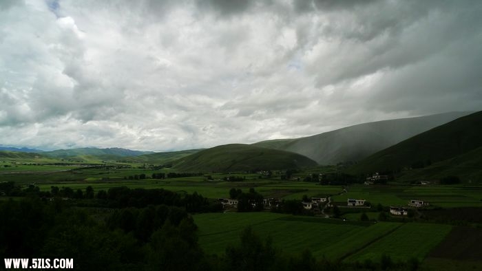 P1090128.jpg