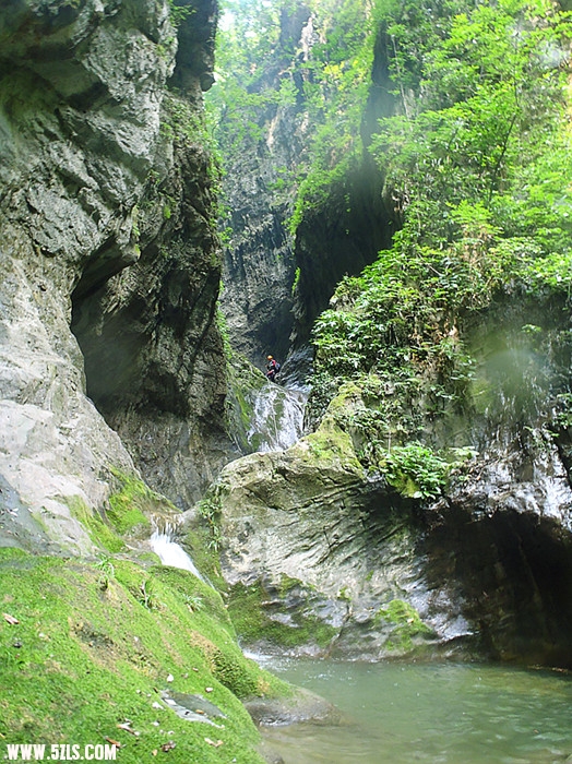 p7160114_.jpg
