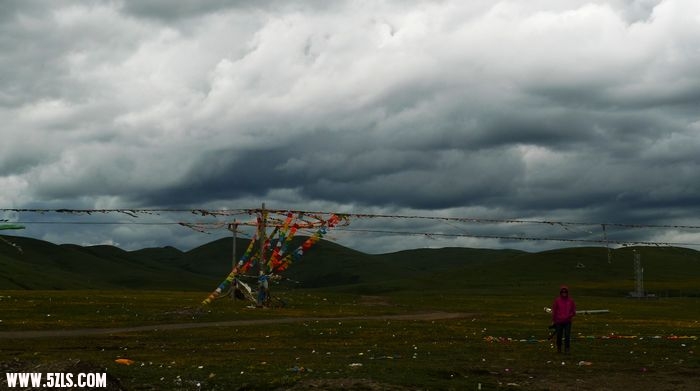 P1090168.jpg