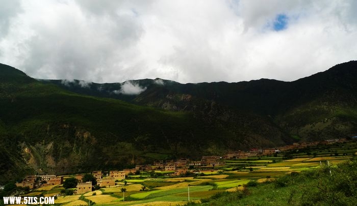 P1090320.jpg