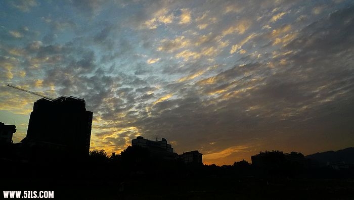 P1080705.jpg