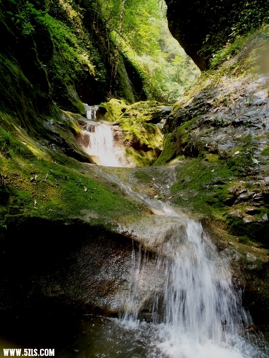 P7160170-1.jpg