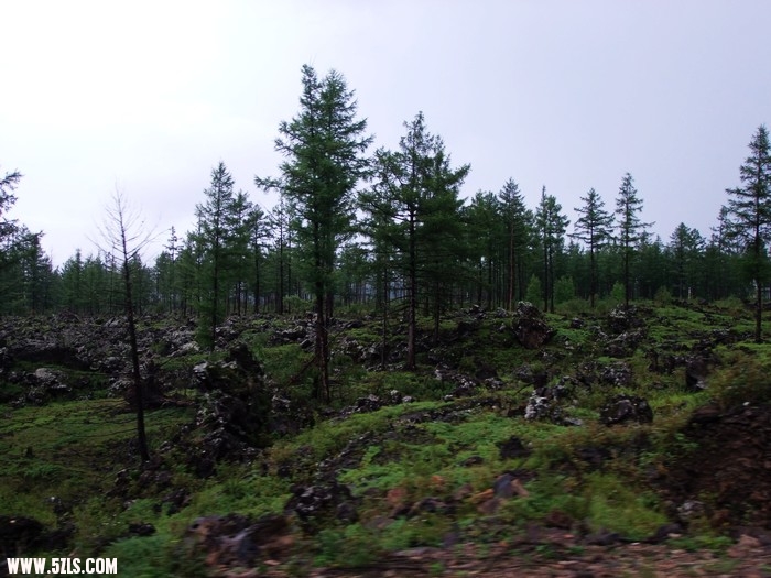 DSCF4874.JPG