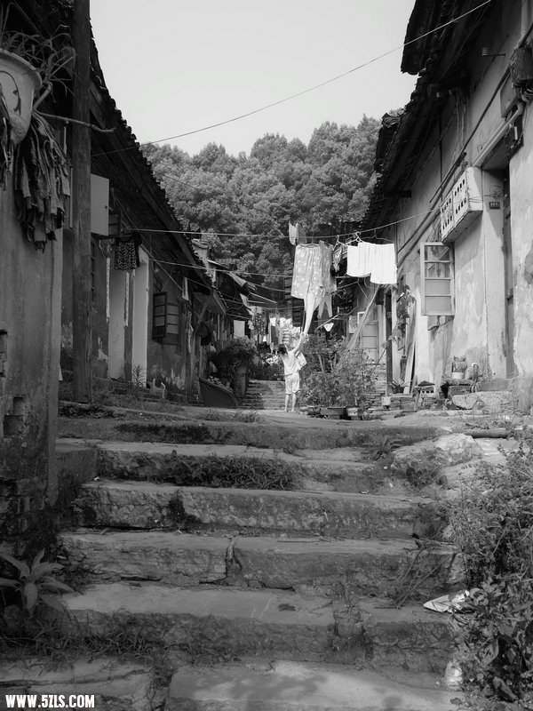SDIM0811.jpg