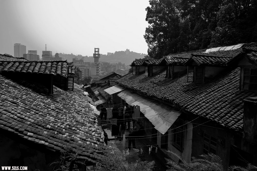 SDIM0823.jpg