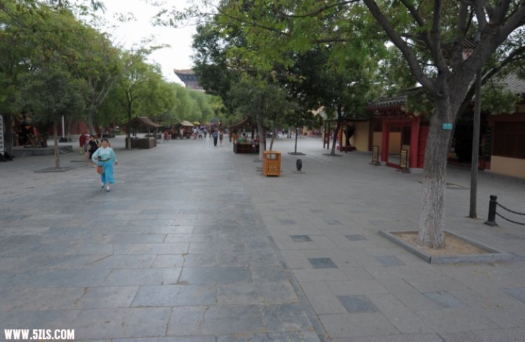  207.jpg