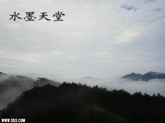 DSC01764.JPG