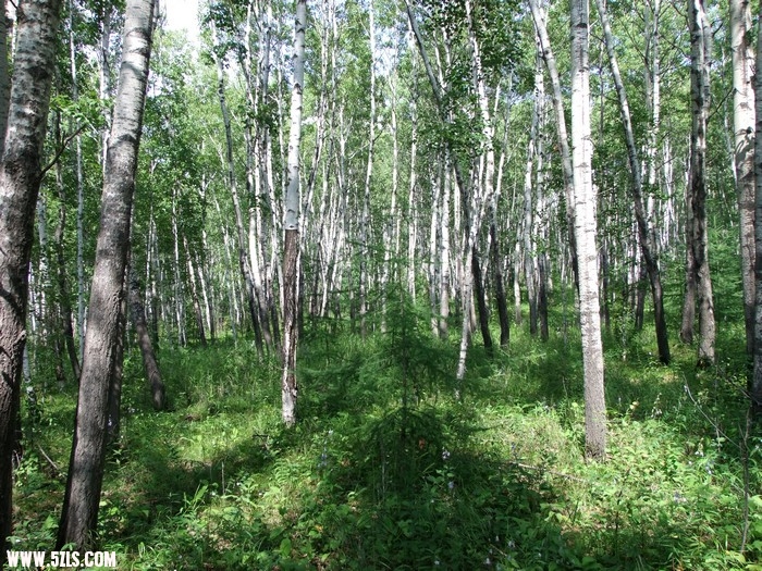 DSCF5734.JPG