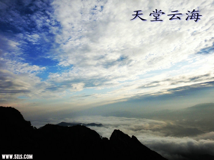 DSC01856.JPG