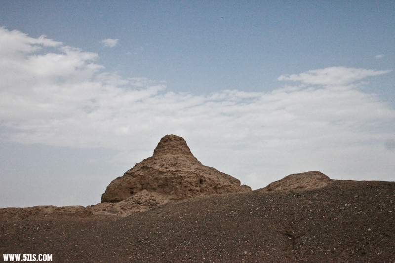IMG_7526.jpg