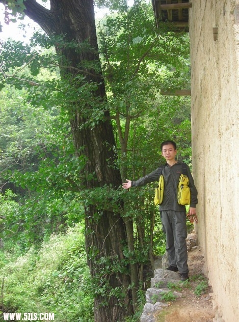 穿山