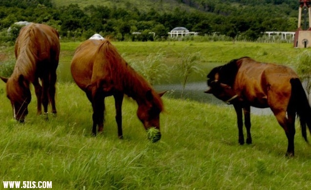 2011727235626224.jpg
