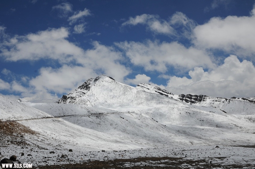 Ƭ 1194.jpg