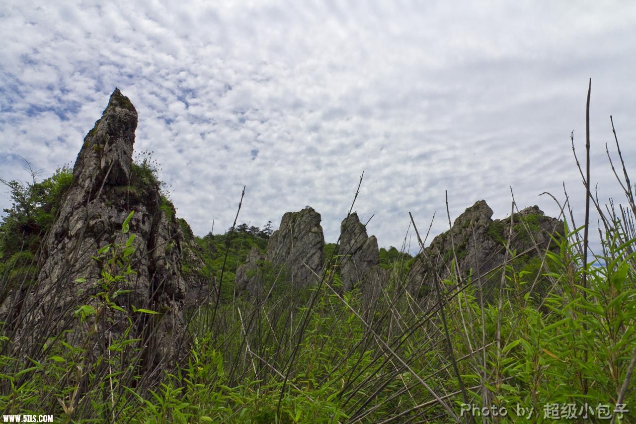 _MG_0741.JPG