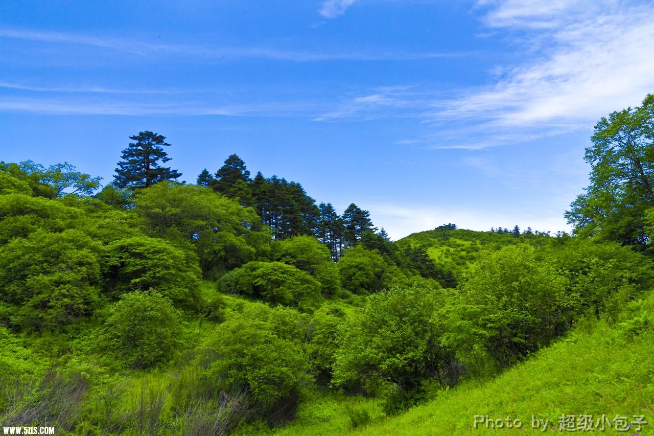 _MG_0787.JPG