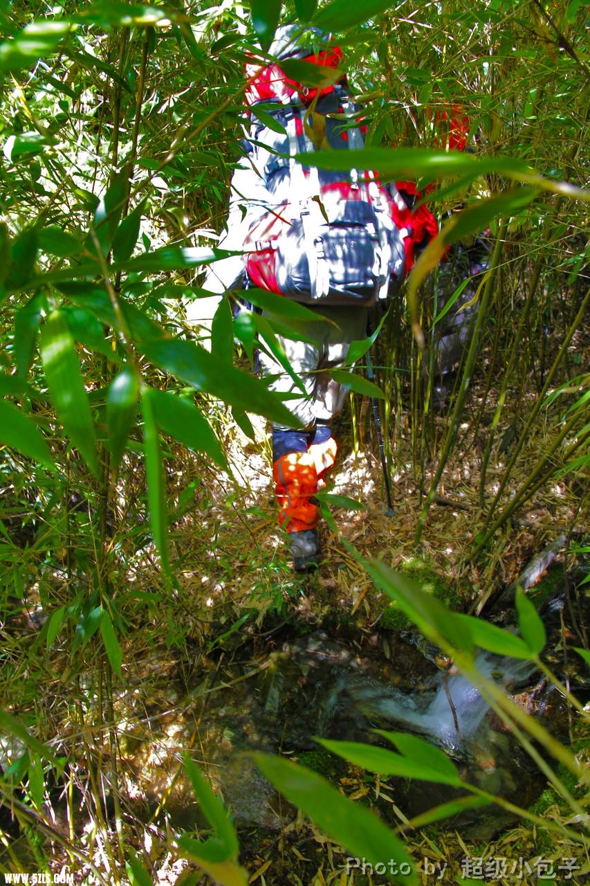_MG_1237g.jpg