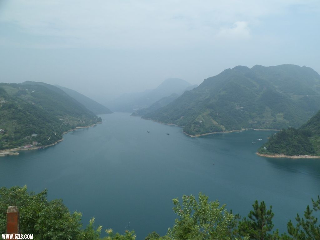 79.jpg